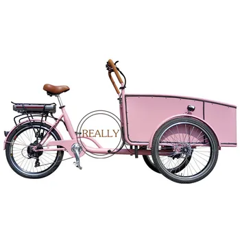 Педальный Электрический Голландский Пассажирский Трехколесный велосипед, Грузовой Трайк С Сиденьями, Грузовой 3-колесный велосипед